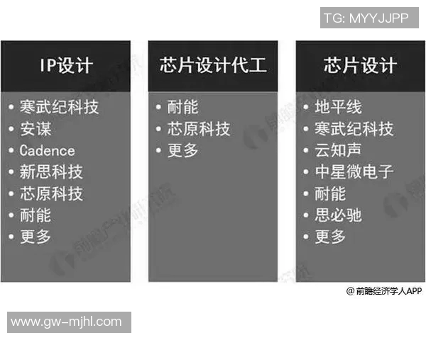 热议DOTA2BLG的迅猛变革与未来发展趋势分析