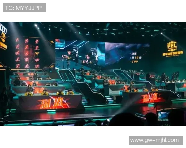 2026电竞新闻和平精英RNG比赛经验引发热议玩家观点分歧引关注